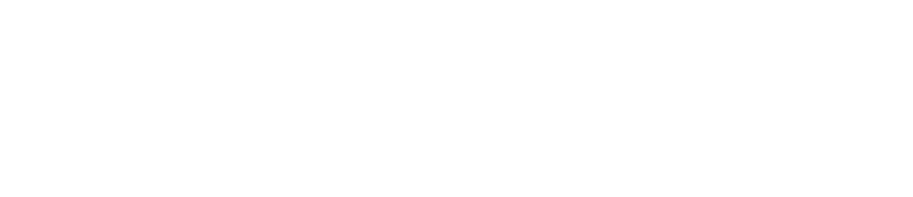 partner 2